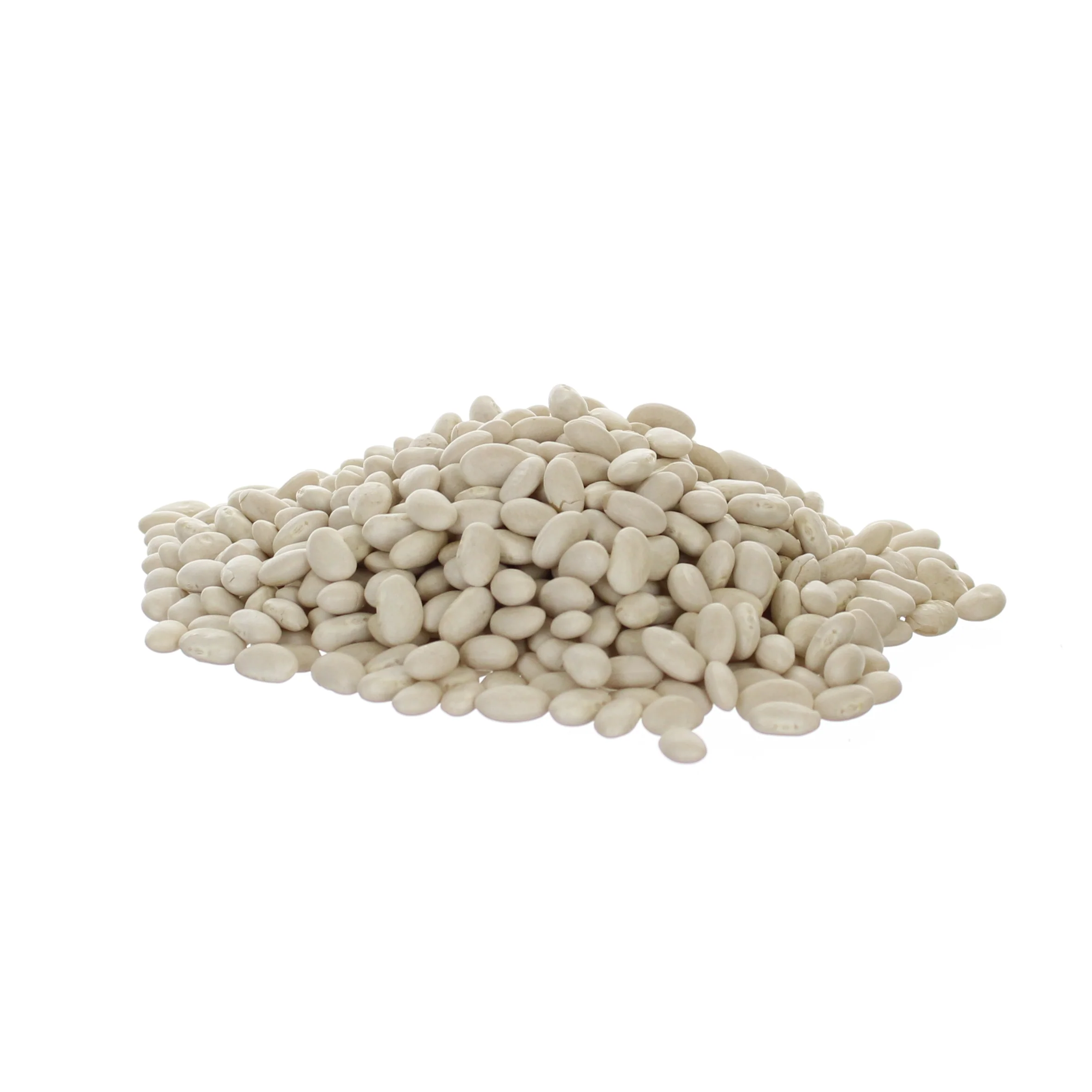 Organic Great Northern Beans