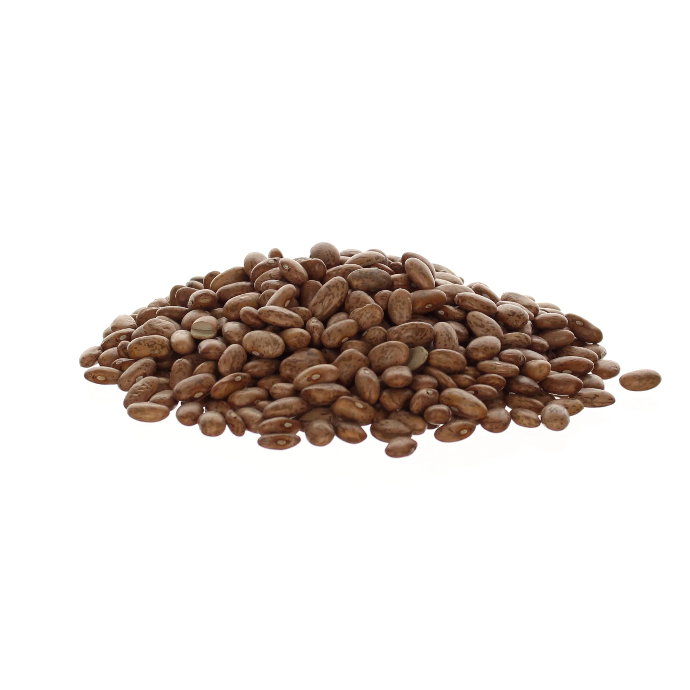 Organic Pinto Beans