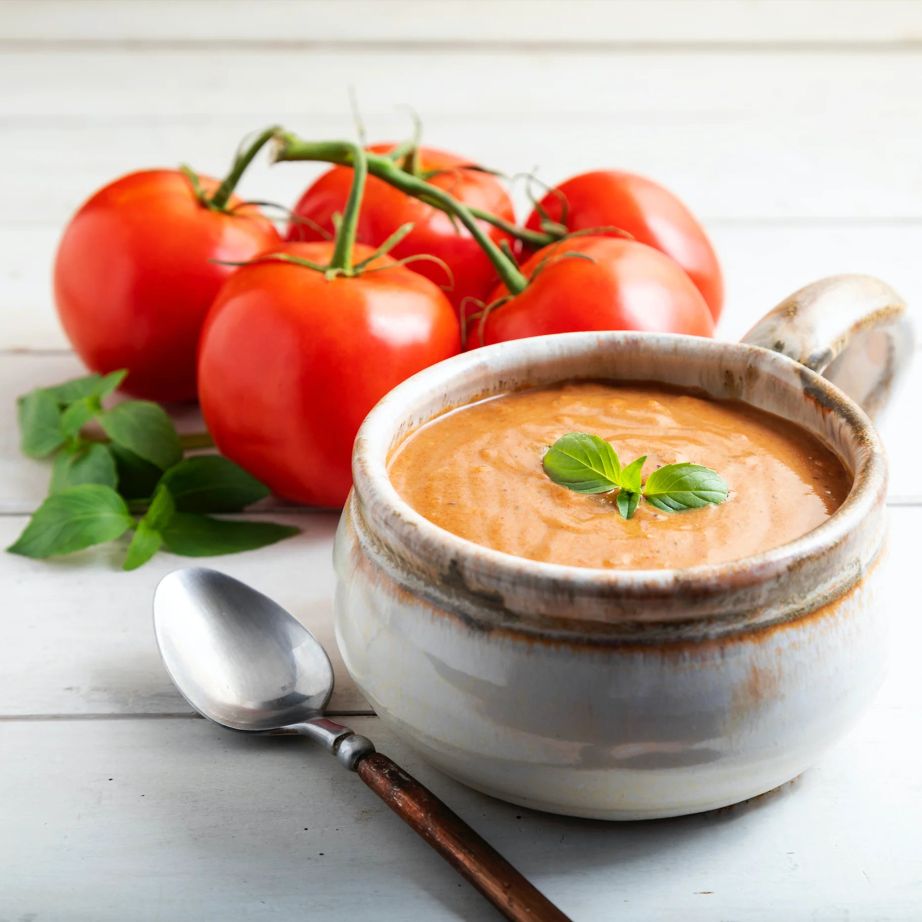 Tomato Basil Soup Mix - Image 2